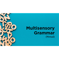 Multisensory Grammar (Virtual)