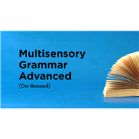Multisensory Grammar Advanced (On-demand)