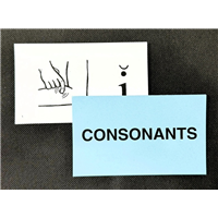 Deck Dividers with Final Stable Syllable Cards