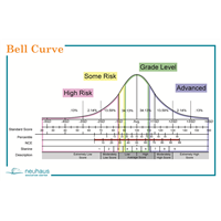 Bell Curve