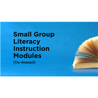 Small Group Literacy Instruction Modules (On-demand)