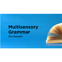 Multisensory Grammar (On-demand)