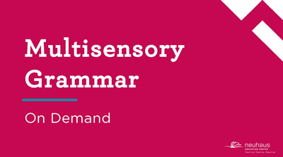 Multisensory Grammar (On-demand)